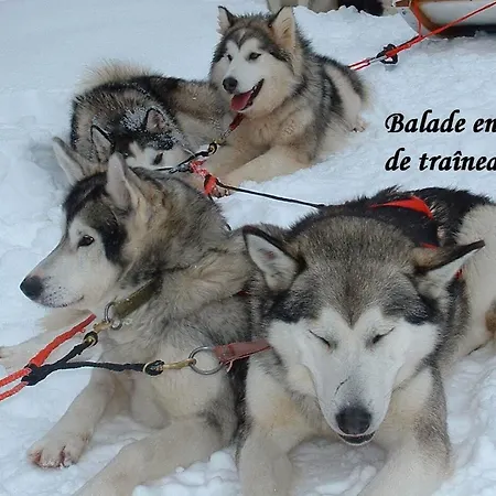 Aux Pieds Des Cimes