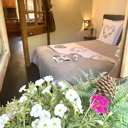 Aux Pieds Des Cimes La Plagne