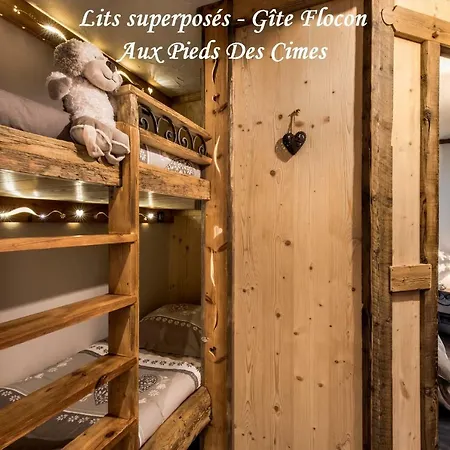 Aux Pieds Des Cimes Apartment *