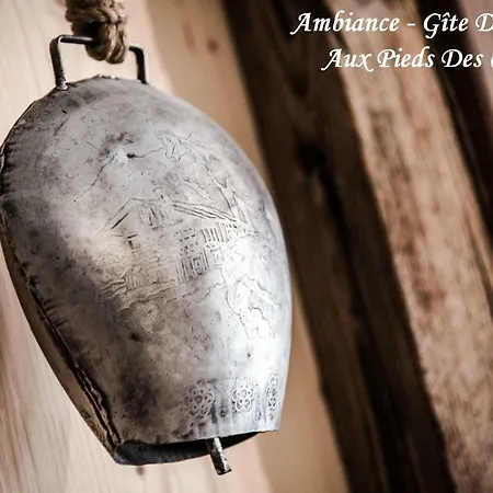 Aux Pieds Des Cimes * La Plagne