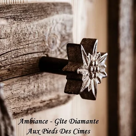 Appartement Aux Pieds Des Cimes *