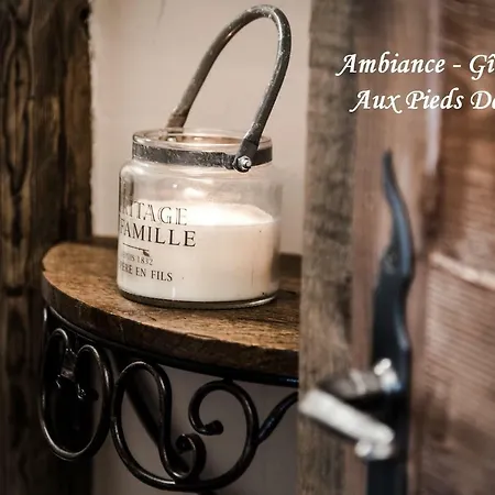 Appartement Aux Pieds Des Cimes *